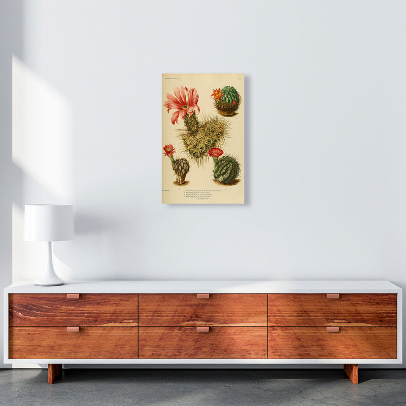 Cactus Series 4 Art Print by Jason Stanley A3 Canvas