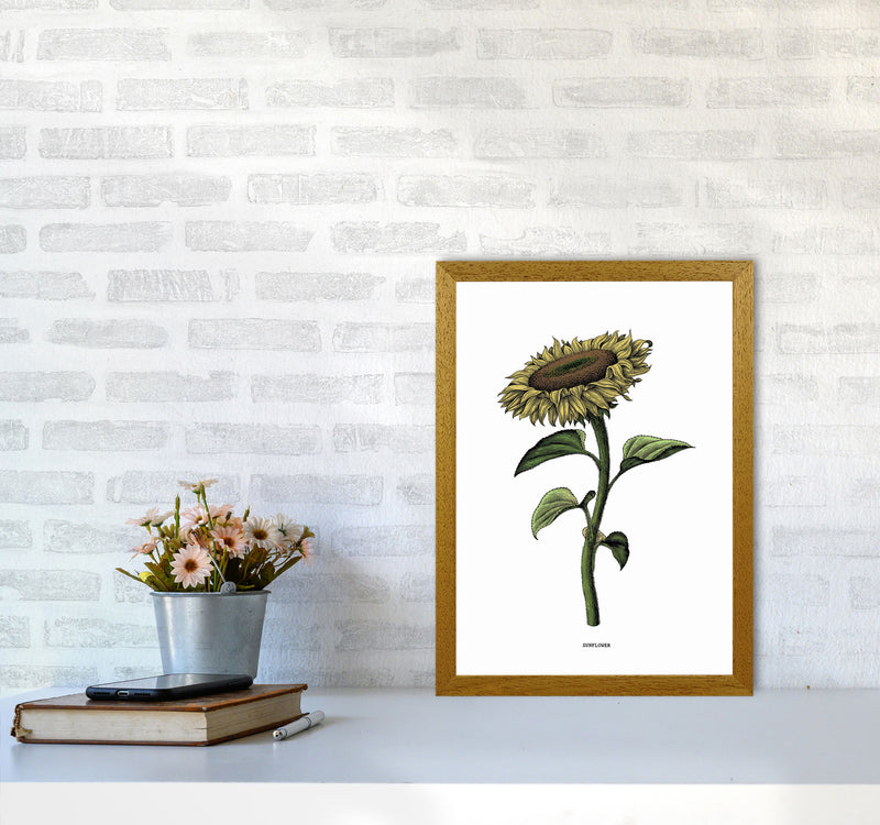 Sunflowers For President Art Print by Jason Stanley A3 Print Only