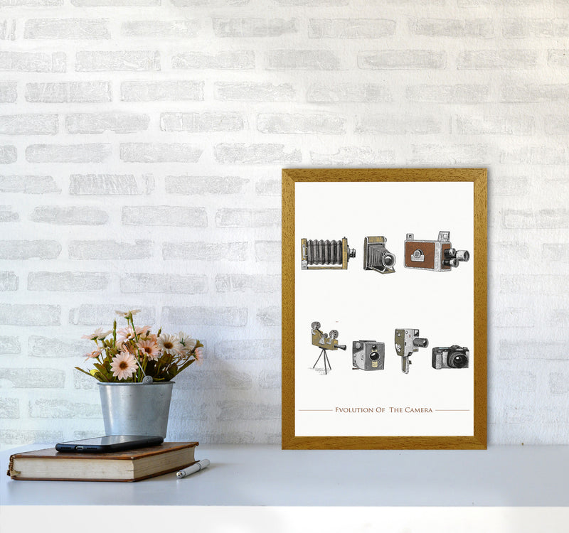Evolution Of The Camera Art Print by Jason Stanley A3 Print Only