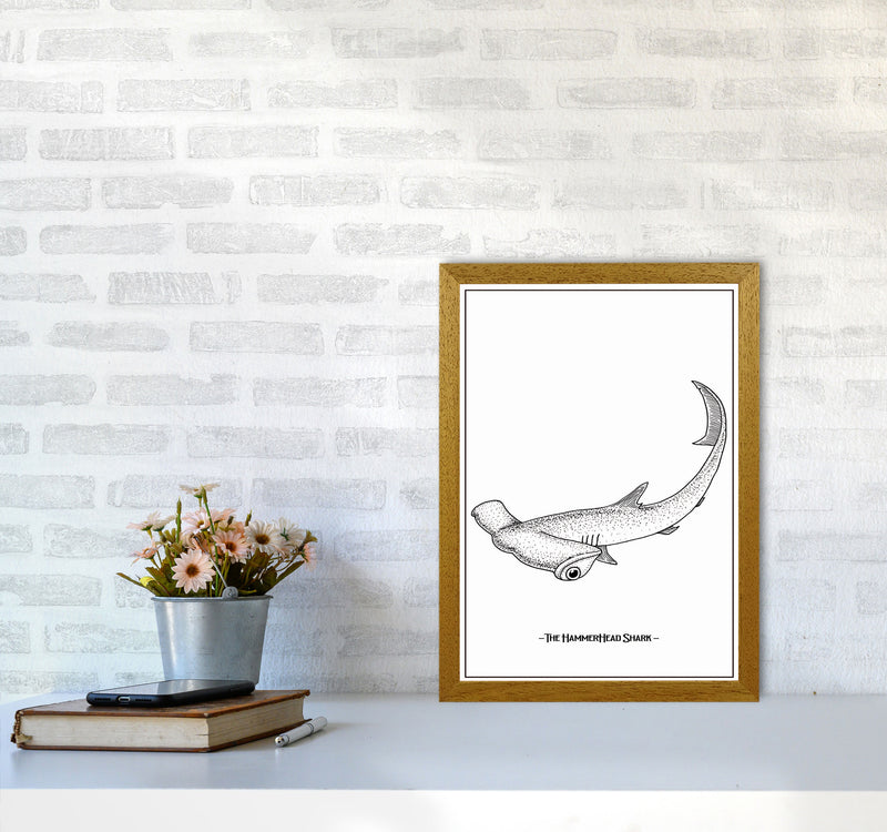 The Hammerhead Shark Art Print by Jason Stanley A3 Print Only