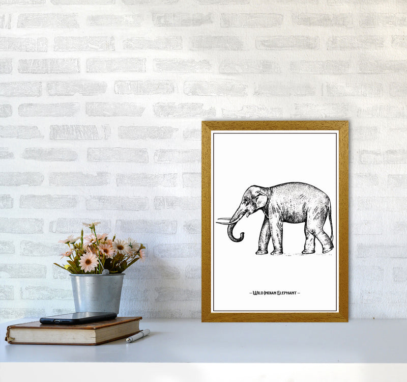 Wild Indian Elephant Art Print by Jason Stanley A3 Print Only