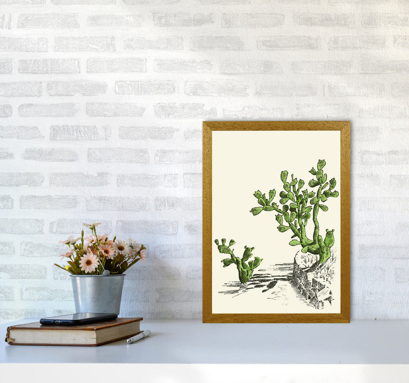 Prickly Pear Cactus Art Print by Jason Stanley A3 Print Only
