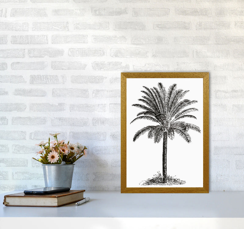 Vintage Palm Tree Art Print by Jason Stanley A3 Print Only