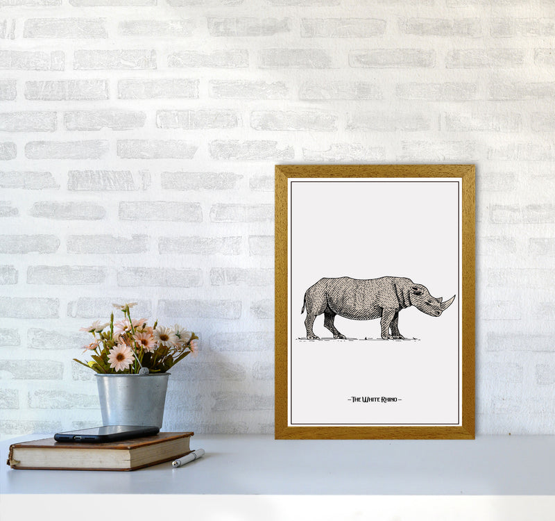 The White Rhino Art Print by Jason Stanley A3 Print Only