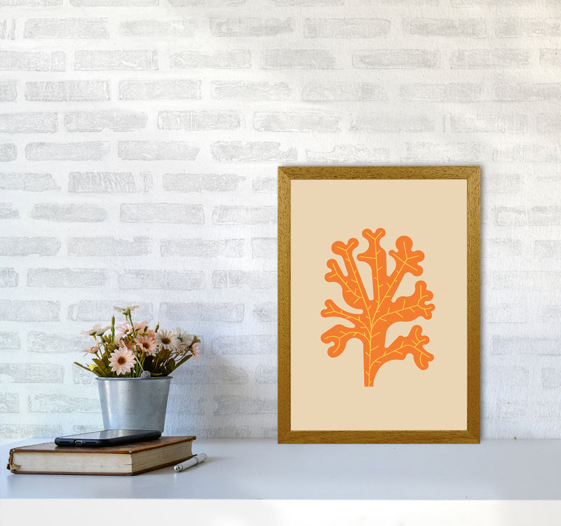 Orange Seaweed Art Print by Jason Stanley A3 Print Only