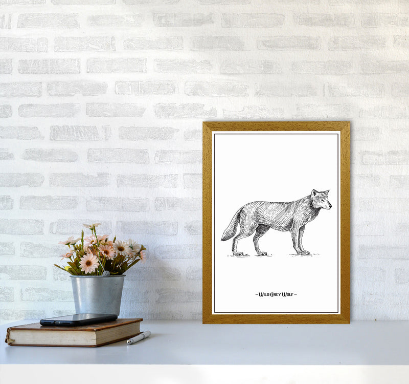 Wild Grey Wolf Art Print by Jason Stanley A3 Print Only