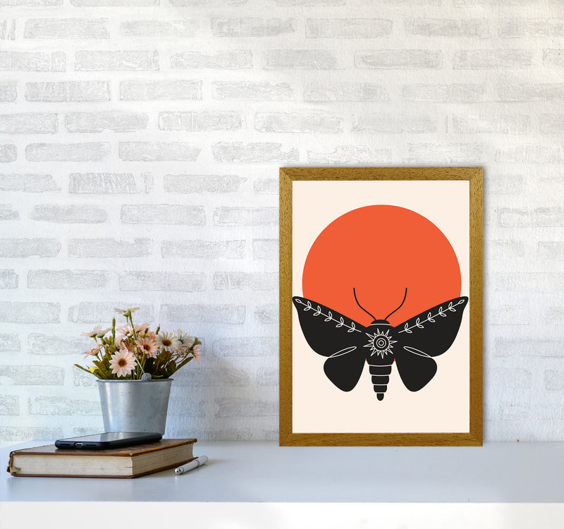 Sunshine Moth Art Print by Jason Stanley A3 Print Only