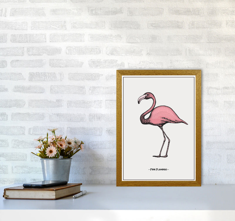 Pink Flamingo Art Print by Jason Stanley A3 Print Only