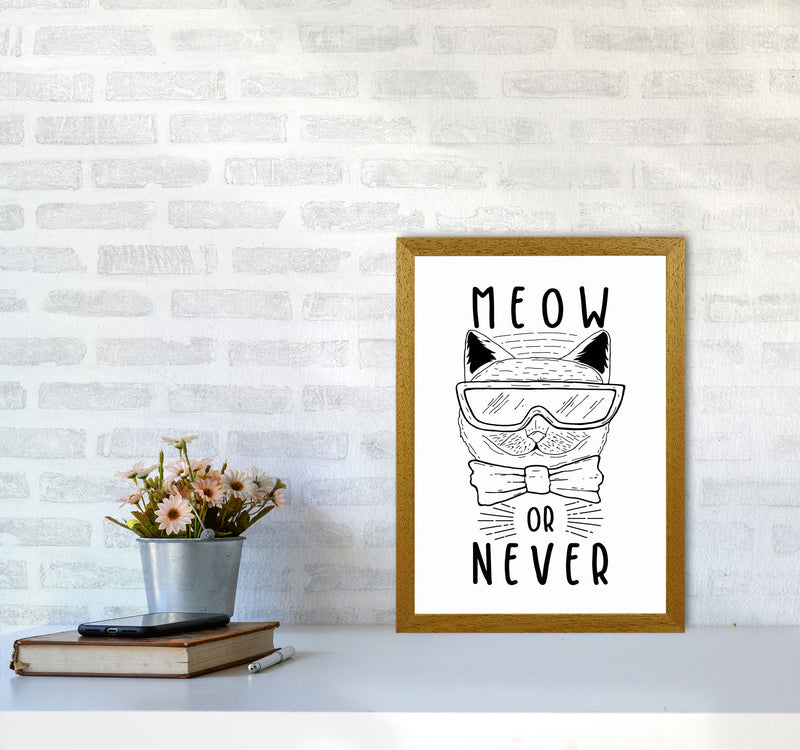 Meow Or Never Art Print by Jason Stanley A3 Print Only