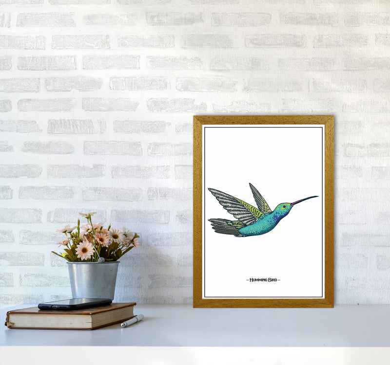 Humming Bird Art Print by Jason Stanley A3 Print Only