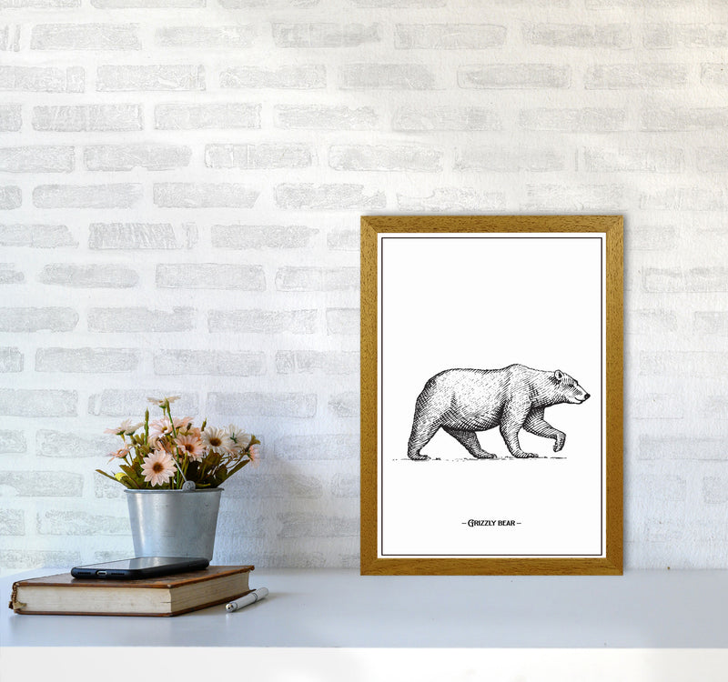 Grizzly Bear Art Print by Jason Stanley A3 Print Only