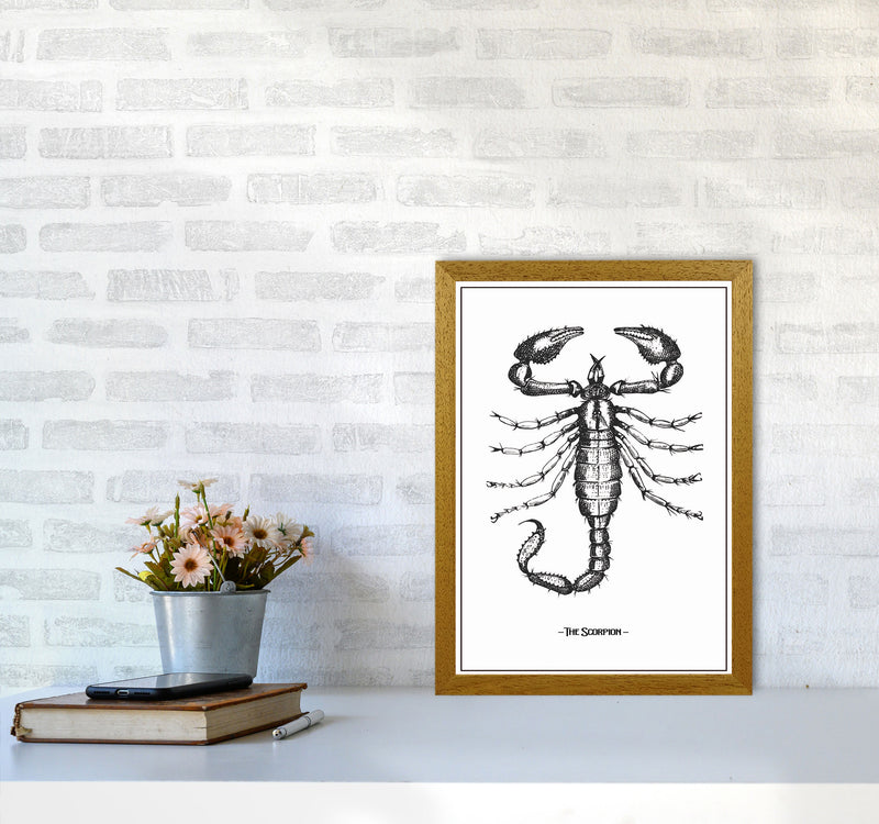 The Scorpion Art Print by Jason Stanley A3 Print Only