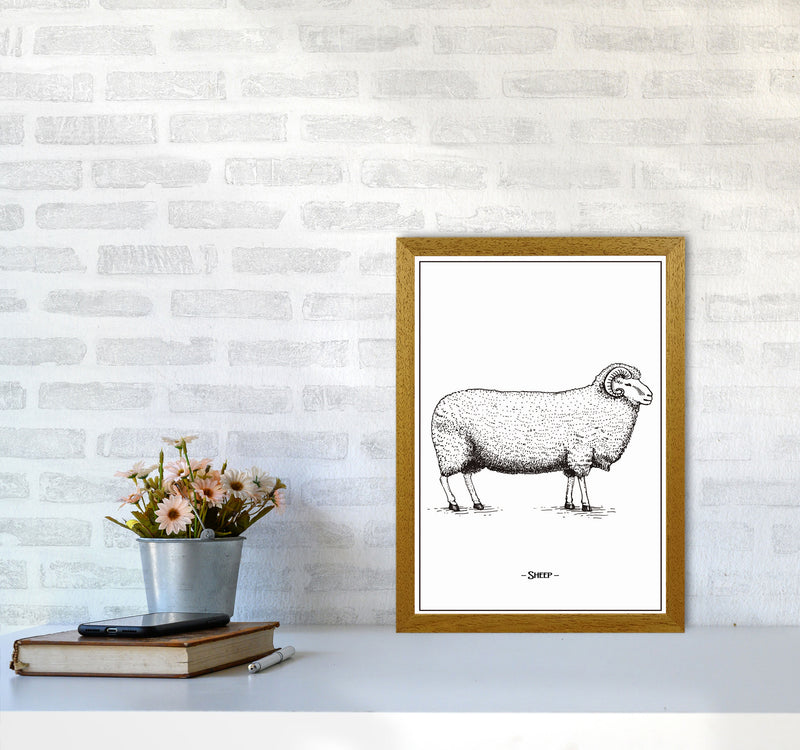 Sheep Art Print by Jason Stanley A3 Print Only