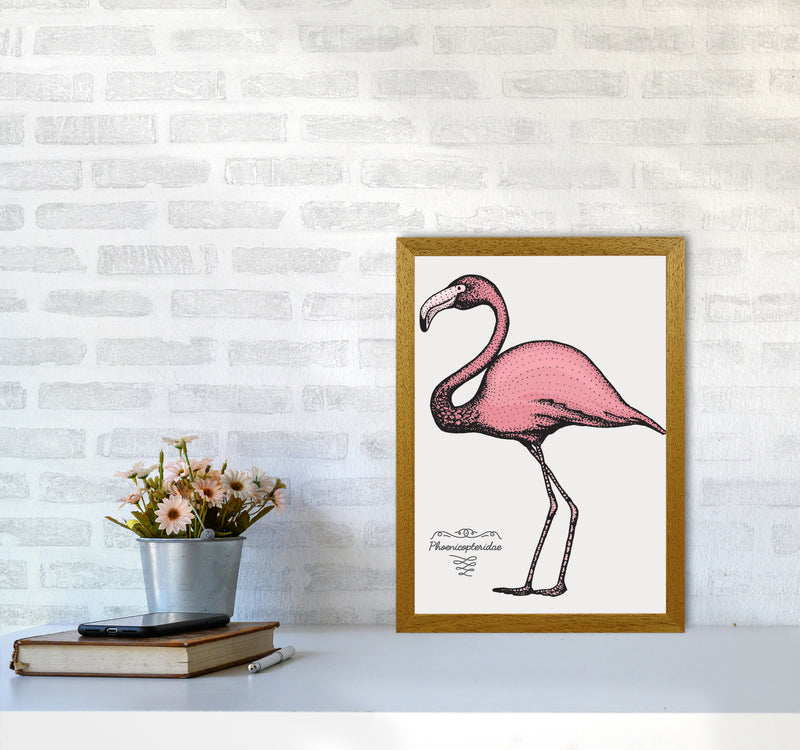 Flamingo Art Print by Jason Stanley A3 Print Only
