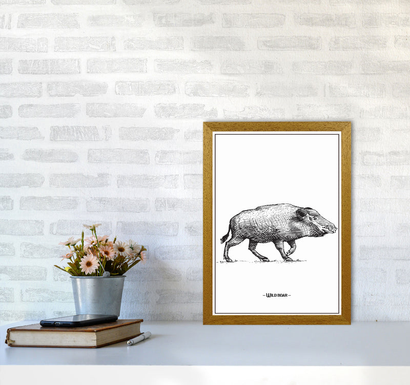 Wild Boar Art Print by Jason Stanley A3 Print Only
