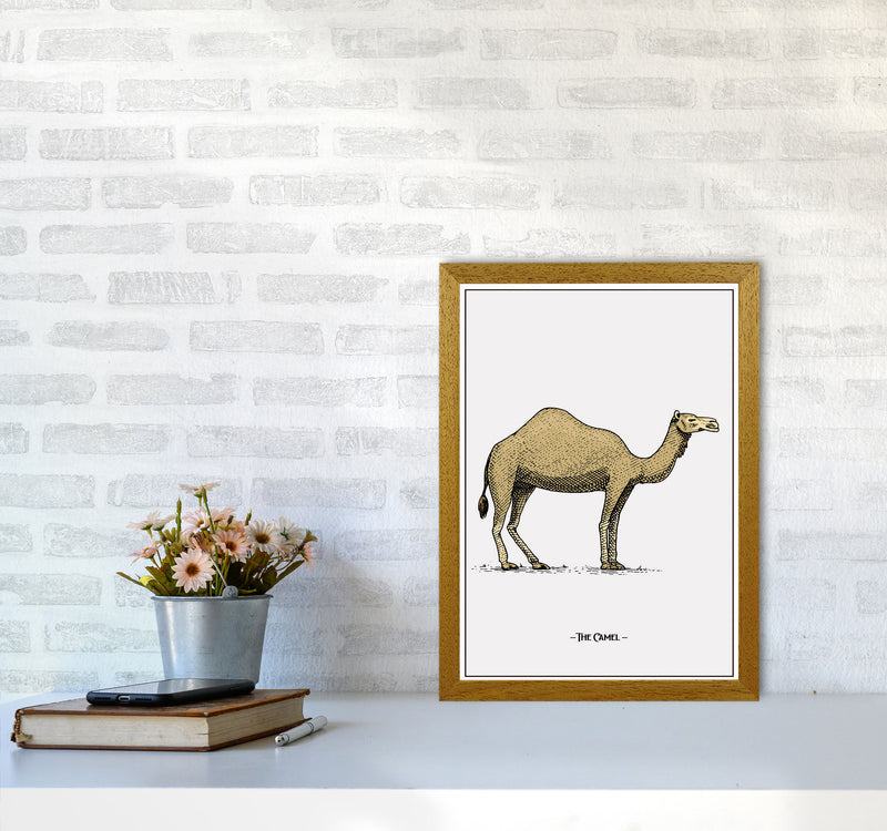 The Camel Art Print by Jason Stanley A3 Print Only