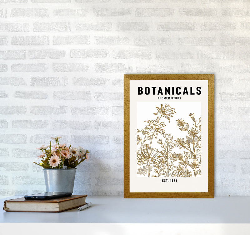 Botanicals Flower Study II Art Print by Jason Stanley A3 Print Only