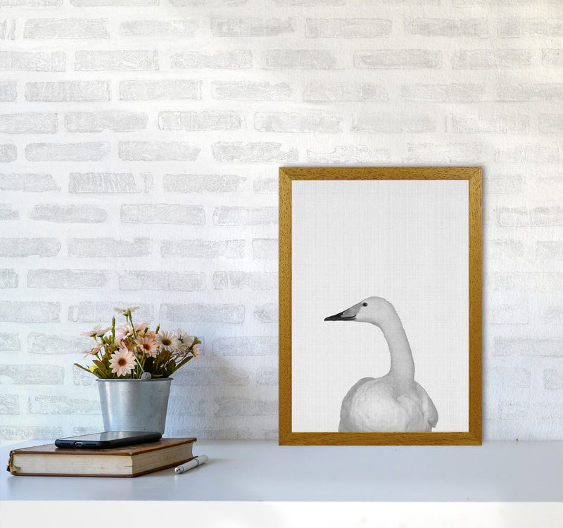 The Case Of The Lost Goose Art Print by Jason Stanley A3 Print Only