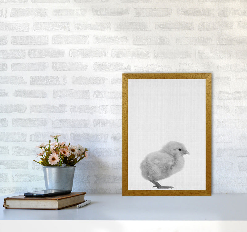 Just Me And My Chick Copy Art Print by Jason Stanley A3 Print Only