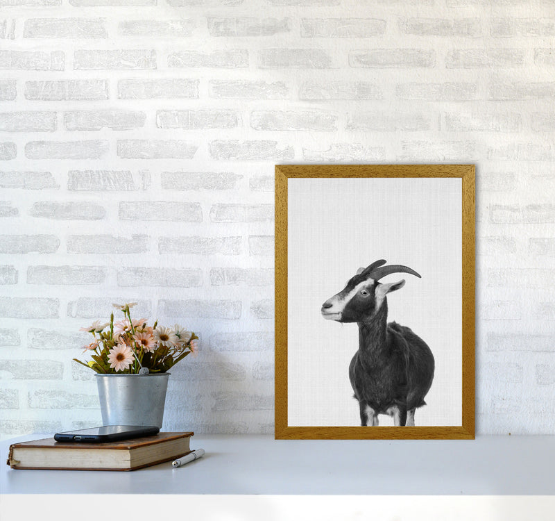 This Goat Takes The Cake Art Print by Jason Stanley A3 Print Only