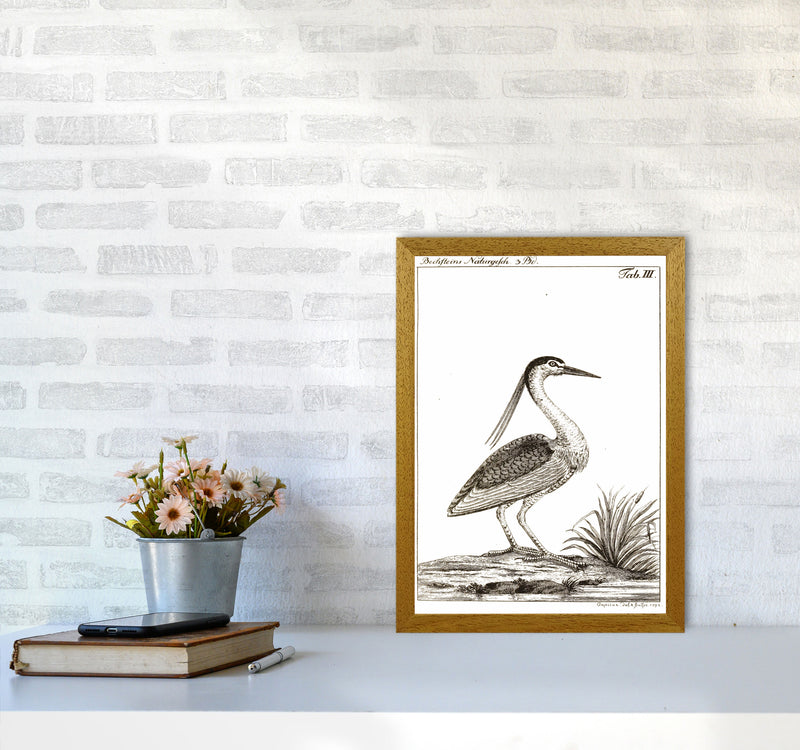 Vintage Hunting Bird Art Print by Jason Stanley A3 Print Only