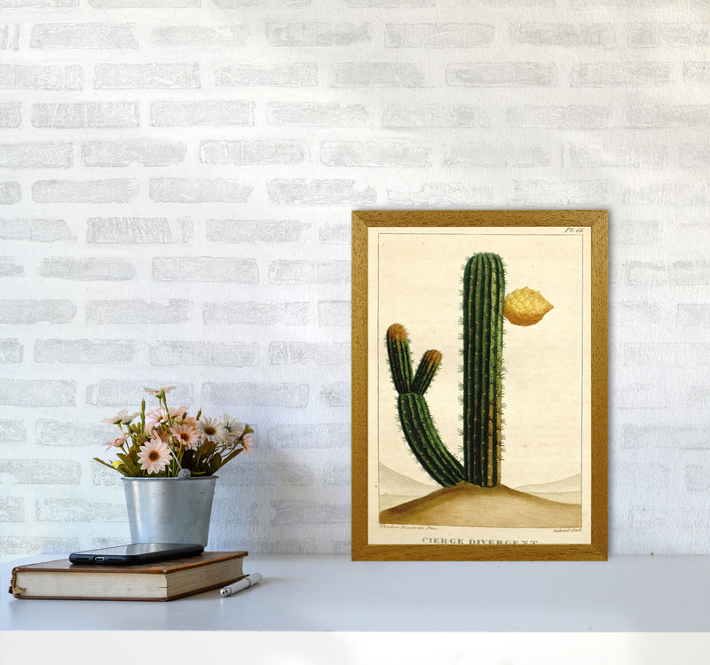 Vintage Cactus II Art Print by Jason Stanley A3 Print Only