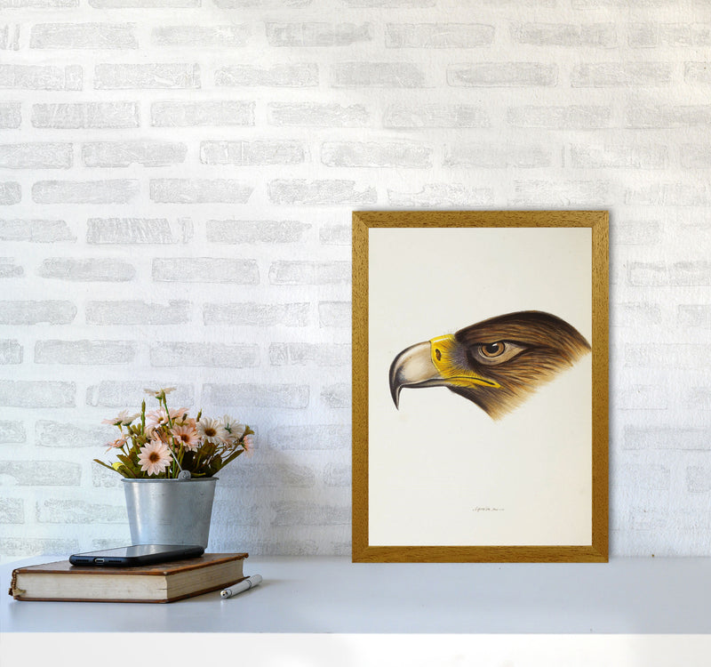 Vintage Eagle Face Art Print by Jason Stanley A3 Print Only