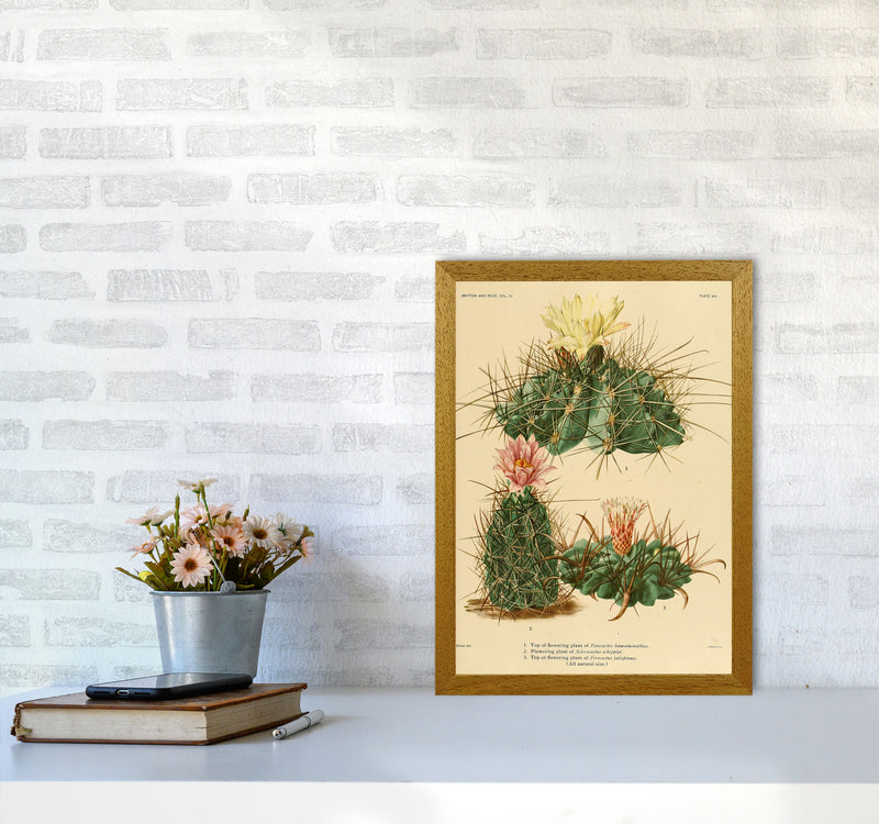 Cactus Series 11 Art Print by Jason Stanley A3 Print Only