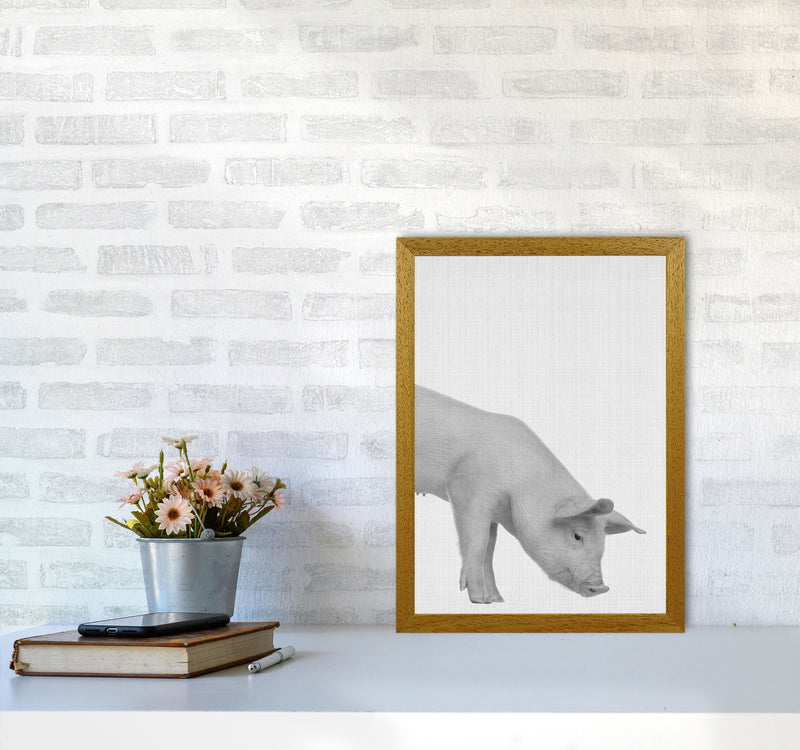 The Cleanest Pig Art Print by Jason Stanley A3 Print Only