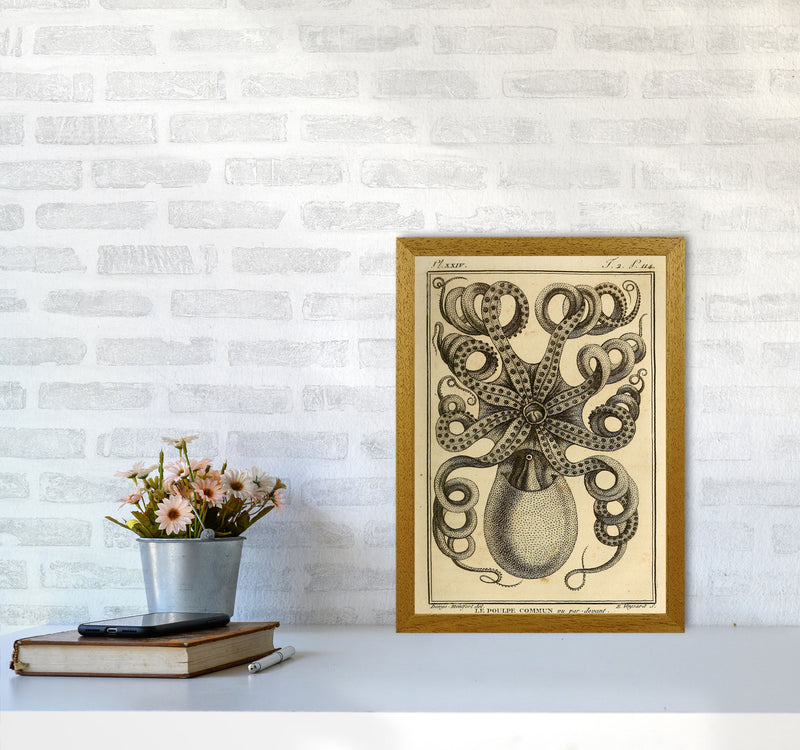 Vintage Octopus Art Print by Jason Stanley A3 Print Only