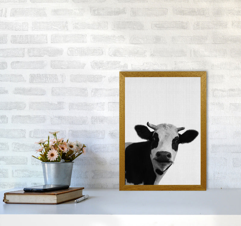 Holy Cow Art Print by Jason Stanley A3 Print Only