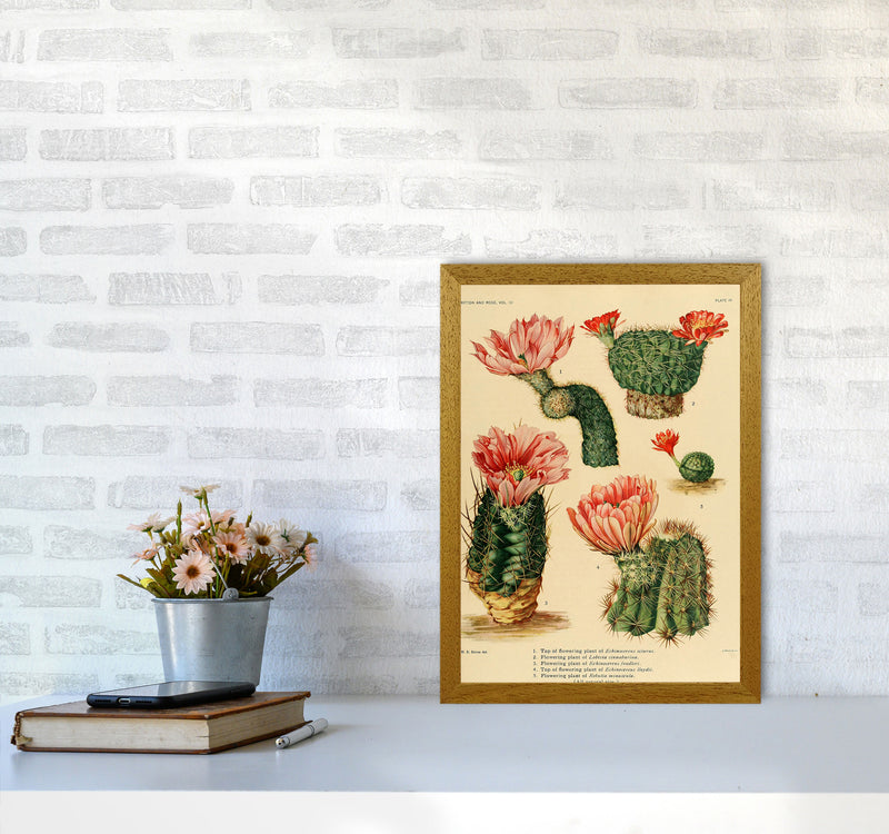 Cactus Series 3 Art Print by Jason Stanley A3 Print Only