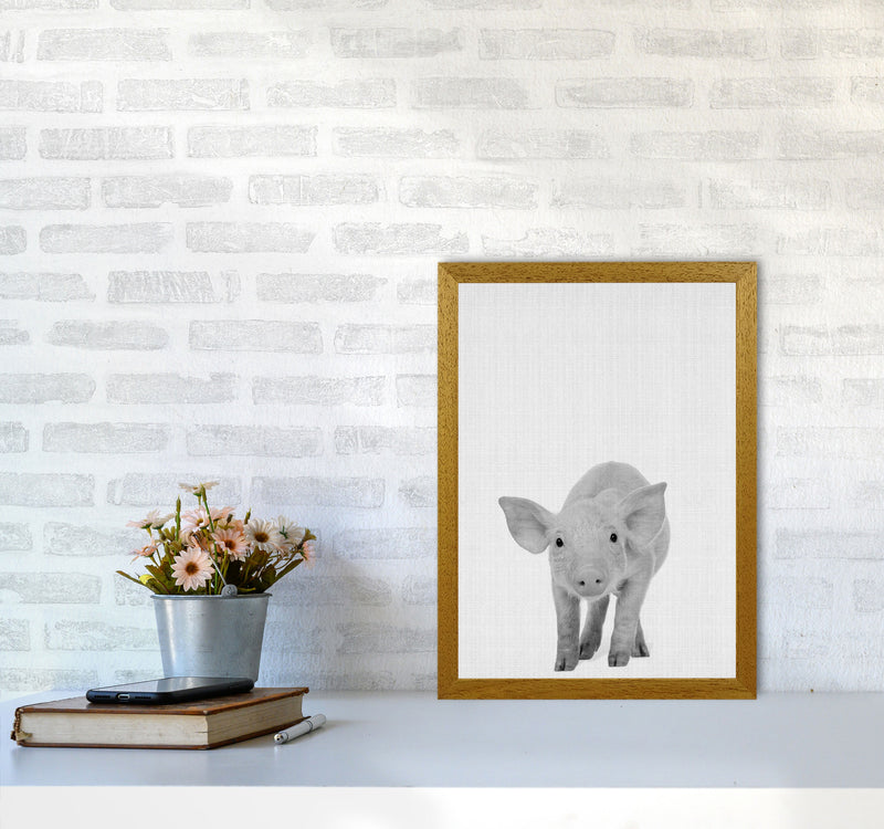 The Cutest Pig Art Print by Jason Stanley A3 Print Only