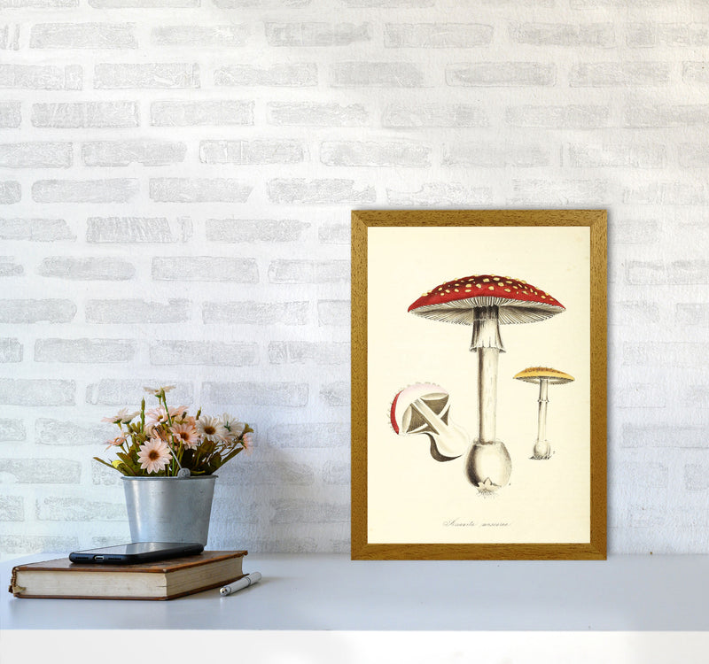 Magic Mushrooms Art Print by Jason Stanley A3 Print Only
