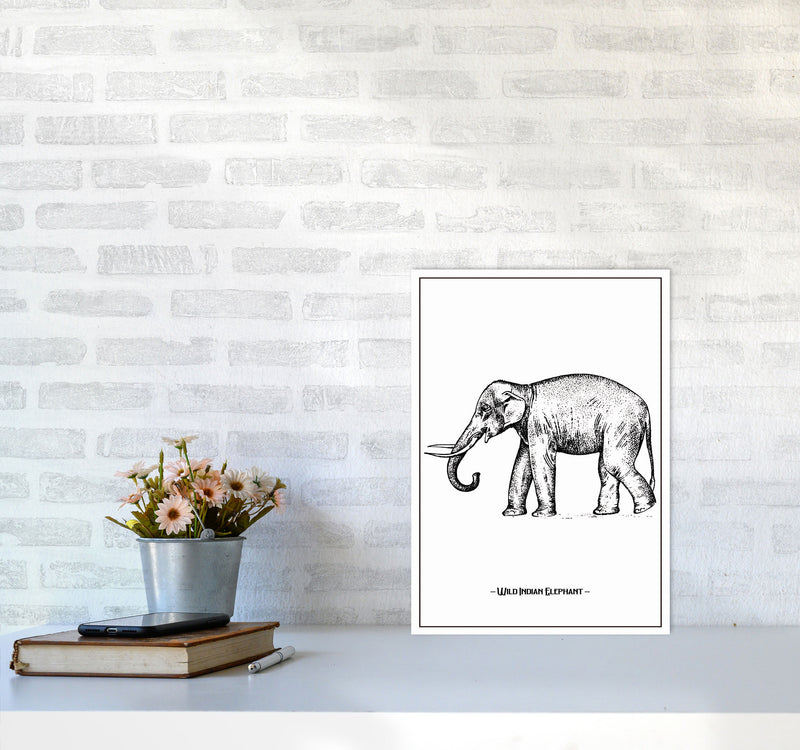 Wild Indian Elephant Art Print by Jason Stanley A3 Black Frame
