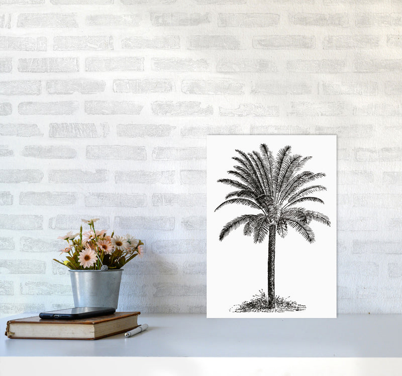 Vintage Palm Tree Art Print by Jason Stanley A3 Black Frame