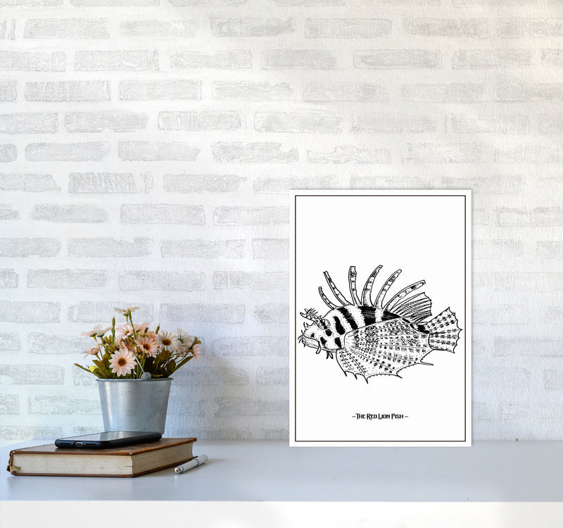 The Red Lion Fish Art Print by Jason Stanley A3 Black Frame