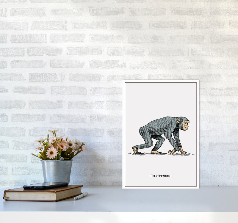The Chimpanzee Art Print by Jason Stanley A3 Black Frame