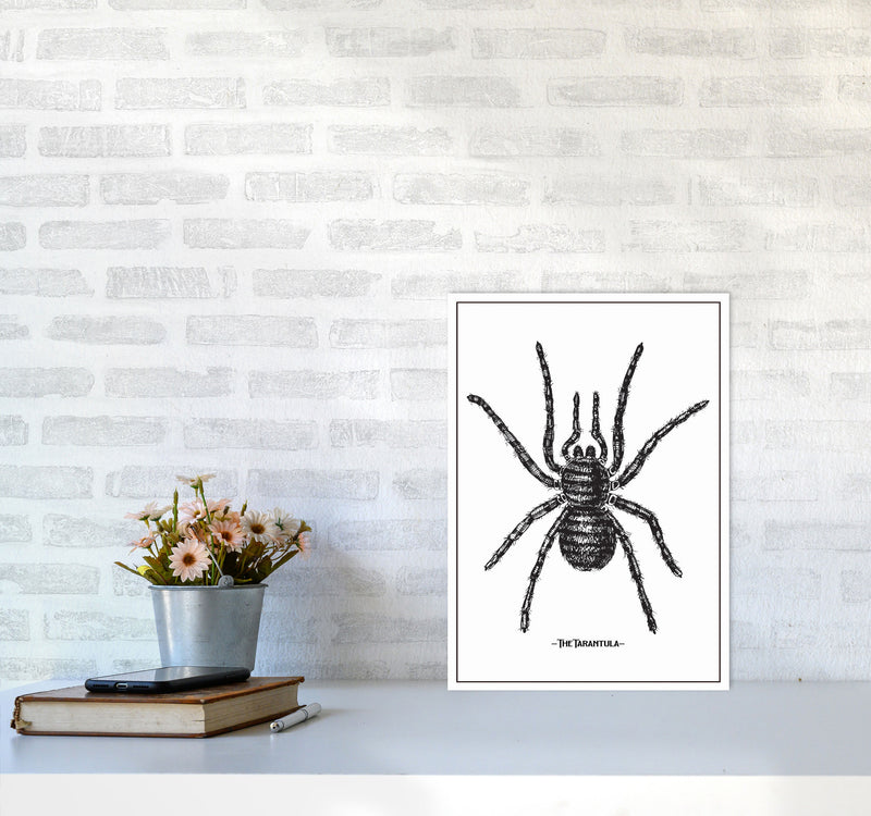 The Tarantula Art Print by Jason Stanley A3 Black Frame
