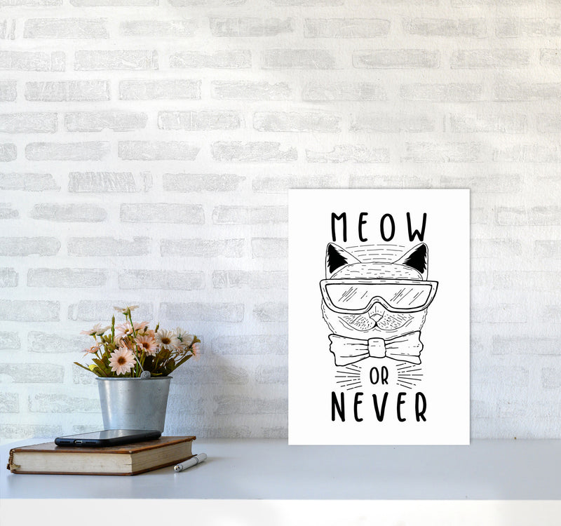 Meow Or Never Art Print by Jason Stanley A3 Black Frame