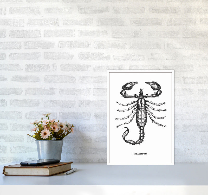The Scorpion Art Print by Jason Stanley A3 Black Frame