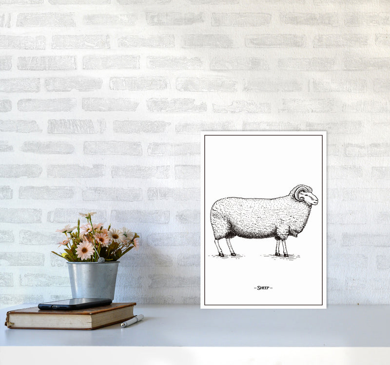 Sheep Art Print by Jason Stanley A3 Black Frame