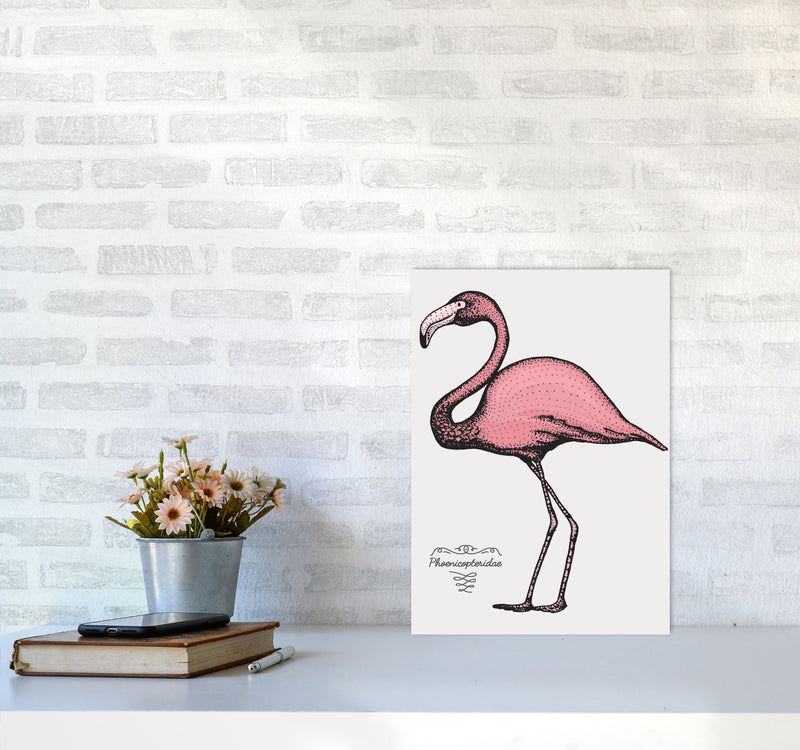 Flamingo Art Print by Jason Stanley A3 Black Frame