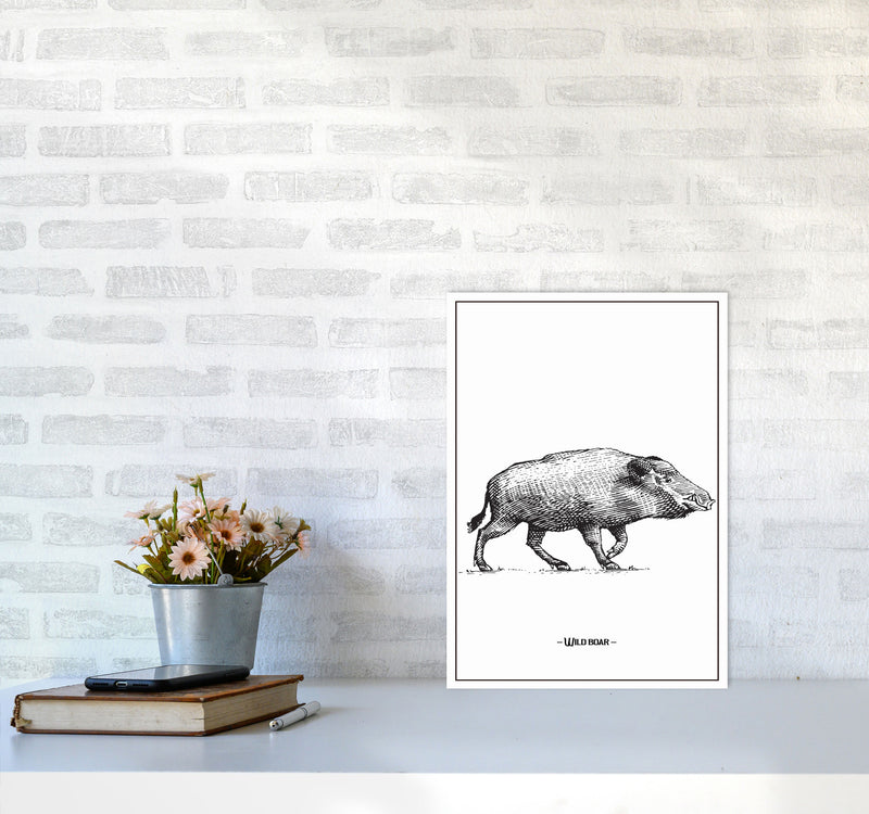 Wild Boar Art Print by Jason Stanley A3 Black Frame