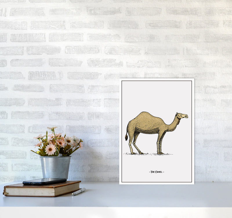 The Camel Art Print by Jason Stanley A3 Black Frame