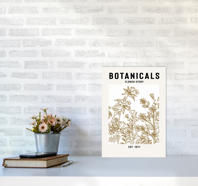 Botanicals Flower Study II Art Print by Jason Stanley A3 Black Frame