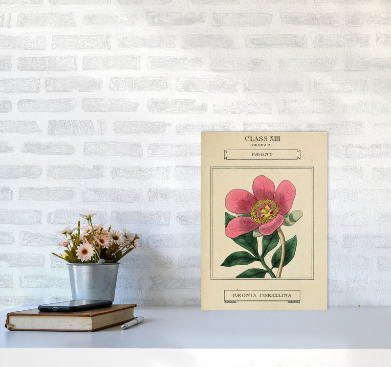 Vintage Flower Series 6 Art Print by Jason Stanley A3 Black Frame