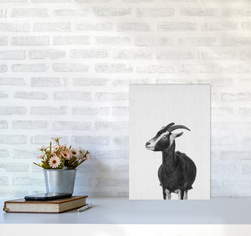This Goat Takes The Cake Art Print by Jason Stanley A3 Black Frame