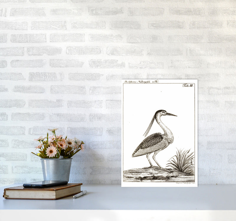 Vintage Hunting Bird Art Print by Jason Stanley A3 Black Frame