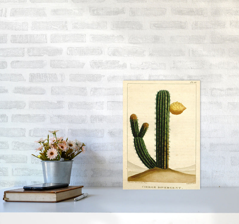 Vintage Cactus II Art Print by Jason Stanley A3 Black Frame